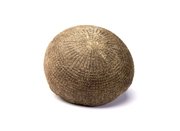 Gourmet Market Black Bull Black Sourdough Boule Bread Pack of 2 (Rounds 24 oz)