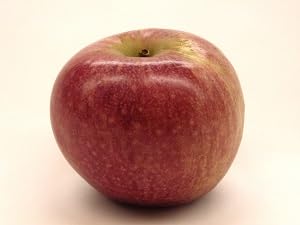 8 Kauffman Orchards Fresh Stayman Apples, Hand-Picked, Box of Apples