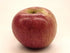 8 Kauffman Orchards Fresh Stayman Apples, Hand-Picked, Box of Apples