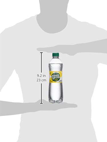 24 0.5 POLAND SPRING Lemon Sparkling Water pk, LT