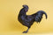 Generic Ayam Cemani Black Chicken, 6 hatching eggs