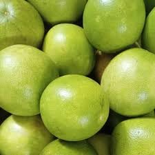 Generic Pack 3 Fresh Pomelo Grapefruit Fruit California Pomelo Green Large Non-GMO - of fruit large California Grown