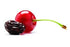 3 LB (48oz) Dried Cherries Resealable Bag, Tart (Sour) Montmorency Variety - /sweetened