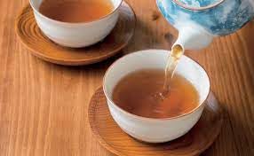 1.4oz 20Bags 2pcs Oi Ocha Roasted Green Tea x Japanese Roasted Green Tea Tea Bag Ninjapo