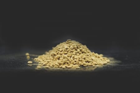 chakoji 17.63oz (500g)- Kawachi Yellow Koji Rice Koji - Handmade miso, sweet sake, koji water, soy sauce, Japanese