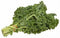 MUSTARD GREENS At The Neighborhood Corner Store KALE FRESH PRODUCE FRUIT VEGETABLES PER BUNDLE EACH (1)