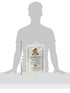 10 Pound(LB) Laxmi, Sona Masoori Rice