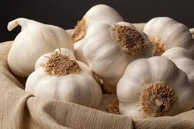 4 4oz 12 Bulbs Gilroy's Christopher Ranch Finest Fresh USA Garlic - X