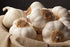 4 4oz 12 Bulbs Gilroy's Christopher Ranch Finest Fresh USA Garlic - X