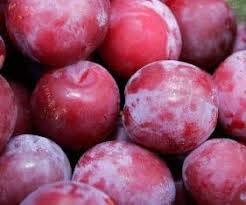 Mrs. Miller's 8 oz Pack 2 Amish Homemade Plum Jelly, - of (Boxed)