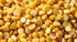 DESI KITCHEN AUTHENTIC INDIAN PRODUCTS 2Lb (32oz) Desi Kitchen Toor Dal (Split Pigeon Peas) By Rani Foods Inc