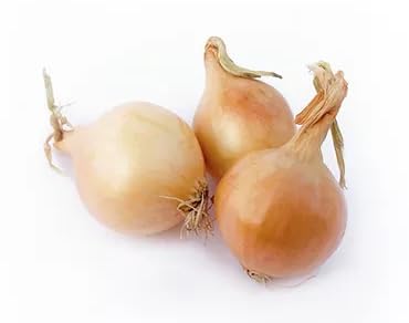 3 LB Kejora Fresh Boiler Onions/Boiling Onions (Yellow, Onion)