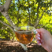 Avocado Leaf Tea Peach Tea - Caffeine-free Herbal Tea for Immune Support, 15 Tea Bags (30 Servings)