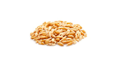 2.2 lb (35.2 oz), Yupik Organic Spelt Kernels, Non-GMO, Kosher, Vegan, Raw Hulled Grains, Unsalted, Source of Fiber
