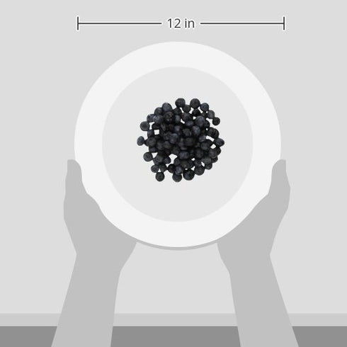 Fresh Organic Blueberries - Pint Size