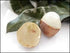 Tropical Importers (2lb) Fresh Longans