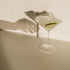 110 100% 3.5 oz |100 Dehydrated Dried Lime Slices | Lime Wheels | + Slices Approx | Natural No Added Sugars |