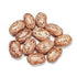 Mulberry Lane Farms 5 Pinto Beans, Pounds Dried, USDA Certified Organic, Non-GMO Bulk, Product of USA