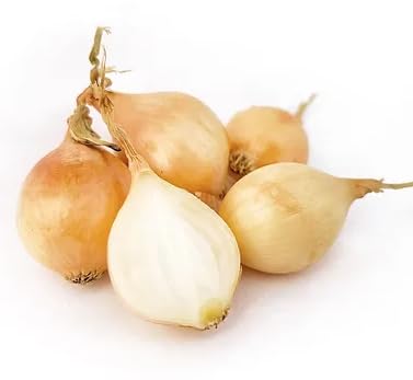 3 LB Kejora Fresh Boiler Onions/Boiling Onions (Yellow, Onion)