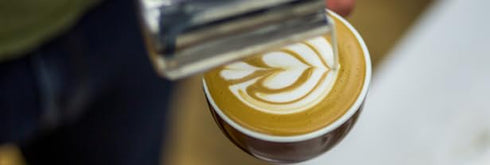 32 PACIFIC FOODS Barista Series Coconut Milk, FZ