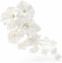 Sugar Blossom Cake Spray Gumpaste Flowers for Cake Decorating White Cherry Blossoms