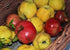 VSOP (375 ml 12.68 oz) Pomegranate Quince Aged White Balsamic Vinegar of Modena /