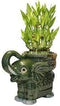 JM BAMBOO Big Three Tiered Lucky Bamboo Arrangement Large Elephant Favor Unique from Jmbamboo