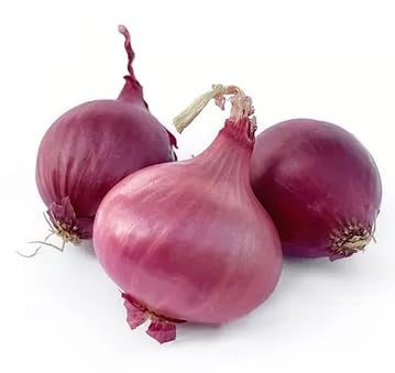 3 LB Kejora Fresh Boiler Onions/Boiling Onions (Red, Onion)