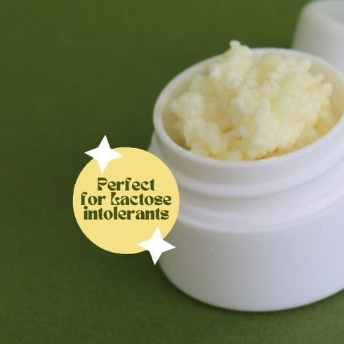 Turkish Milk Kefir Grains Starter - Bulgaros & Pajaritos Strain by Simple Life Probiotics