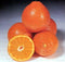 ORANGES At The Neighborhood Corner Store ORANGES LARGE FRESH FRUIT PRODUCE 4 POUND BAG