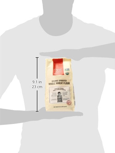 32oz One Degree Organic Foods Organic Sprouted Whole Wheat Flour