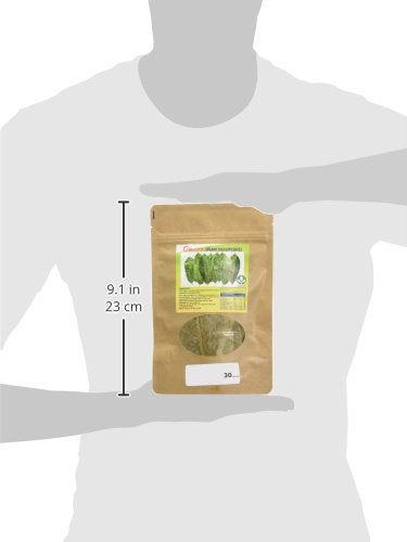 11.3 Oz (12-Pack) Omura Soursop Juice Drink with Pulp Fl | Refreshing Tropical Fruit Beverage | Graviola Guanabana