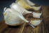 Cloves -0.15 OZ 16 Garlic Elephant Organic Fresh seeds garlic elephant for planting, eating and growing your own