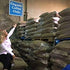 2012 Purelife Enema Coffee- Certified Organic - Light "Air" Roast - Ground - Specialty Grade -Third Party Lab Tested