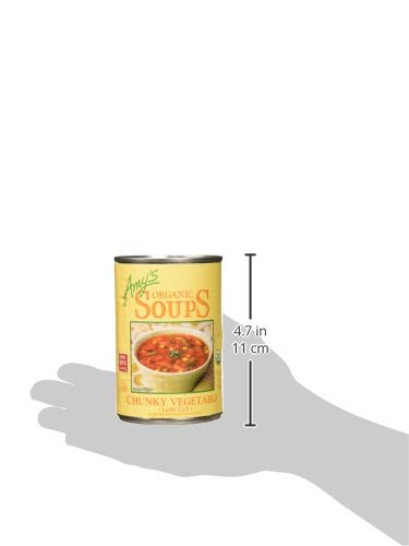 14.3-Ounce Amy's Organic Chunky Vegetable Soup, Low Fat