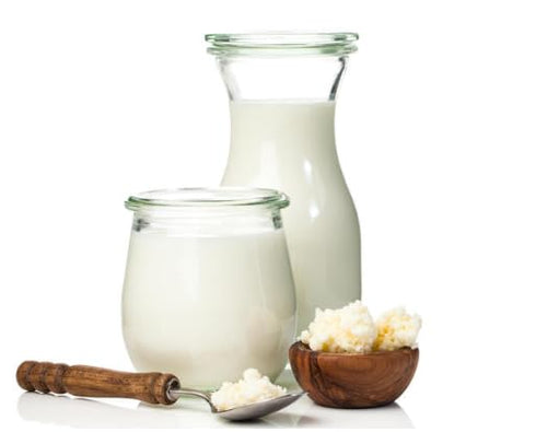 (24 Pack) Turkish Kefir Starter Dehydrated & Powdered Milk Kefir Active Probiotic Cultures Starter - No Maintenance