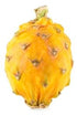 (Set 4) Fresh Yellow Dragon Fruit