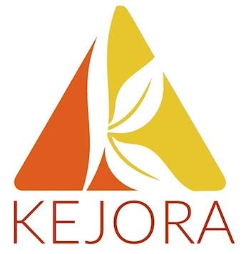 3 (Pack 3) Kejora Fresh Golden Berries/Cape Gooseberries Ounce