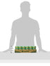 Hawaiian Sun 11.5-Ounce (Pack 24) Green Tea with Ginseng
