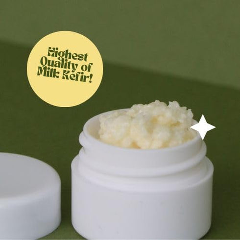 (1tsp) Live Milk Kefir Grains, Reusable Starter Culture