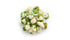 2.2 lb, Yupik Wasabi Green Peas, Spicy & Crunchy Snack, Perfect for Snacking & Salad Topping, Roasted Green Peas