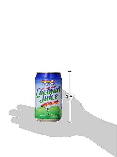 10 Oz (Pack 24) Amy & Brian Coconut Water Original, Fl