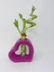 JM BAMBOO Lucky Bamboo Pink Heart Vase Arrangement -JMBamboo (1)