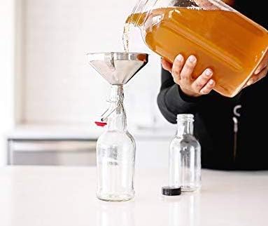 Urban Kitchen Kombucha 1 Starter Kit Includes Organic SCOBY, Starter Liquid, Gallon Glass Jar, Temp Gauge, Tea