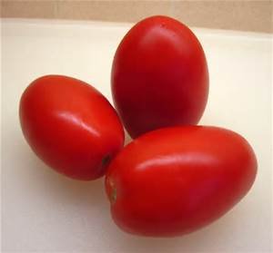 ROMA TOMATOES At The Neighborhood Corner Store ROMA TOMATOES FRESH VEGETABLE FRUIT PRODUCE PER LB