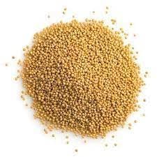 100% (300, Yamkay White | Yellow | Mustard Seeds | Non-GMO, Gluten Free, Raw, Sourced from India, For Cooking, Pickles