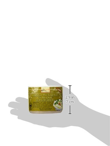 10oz Quoc Viet Foods Vegetarian "Pho" Soup Base Cot Pho Chay Brand