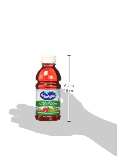 10 Oz 6 Count (Pack 1) Ocean Spray Cran-Apple Cranberry Apple Juice Drinks, Fl Bottles