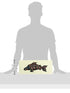 16 Alaska Smokehouse Smoked Sockeye Salmon Fillet In Wood Gift Box, Ounce Box