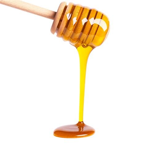 Phoenix Rose Pack 50 Packets Honey Lovers Gift Individual of Pure Honey Perfect for Tea, Coffee, Travel, and Snacking